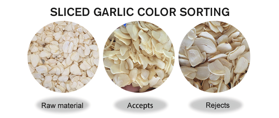 Sliced Garlic Color Sorting Demo 2.png