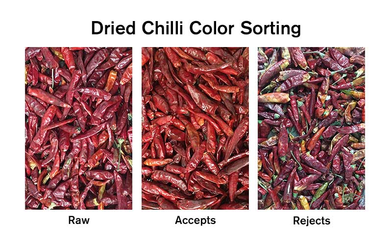 Dry Chili Sorting-1.jpg