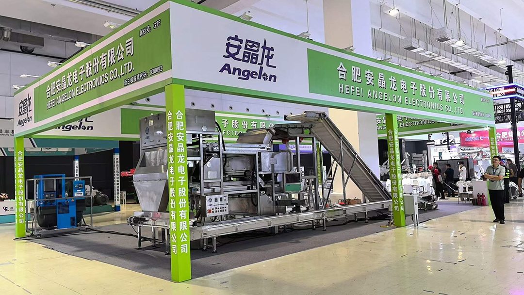 Angelon presenta su revolucionaria clasificadora de colores con inteligencia artificial en la Exposición Internacional de Pimienta y Especias de China 2024 (Qingdao).